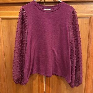 Anthropologie Plum Blouse with Textured Sleeves